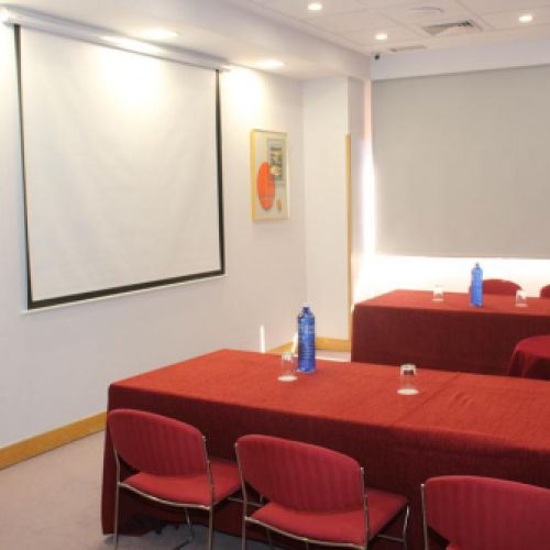 salones Hotel Diana Plus