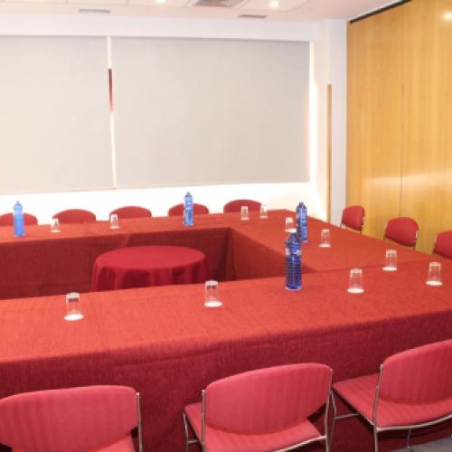 salones Hotel Diana Plus