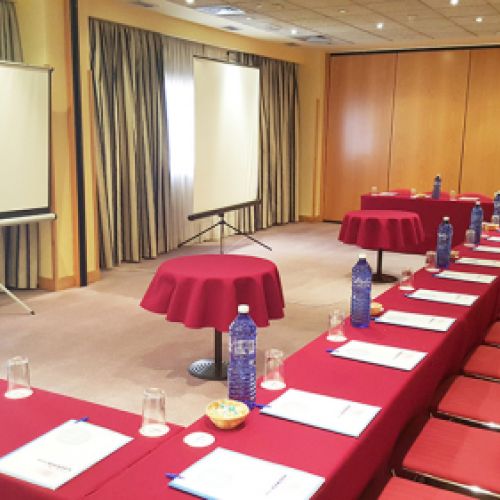 salones Hotel Diana Plus